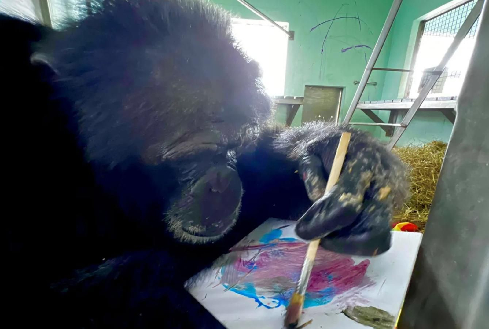 Uno de los diez 'artistas' de la exposición