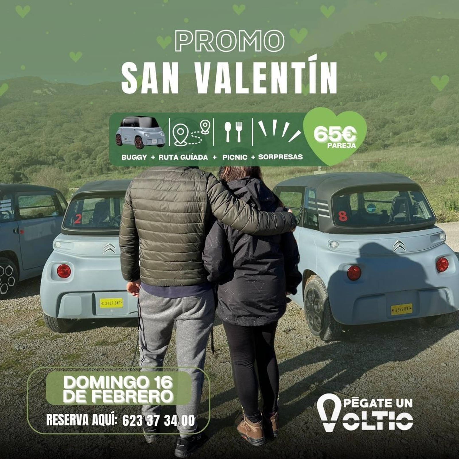 Cartel Cartel