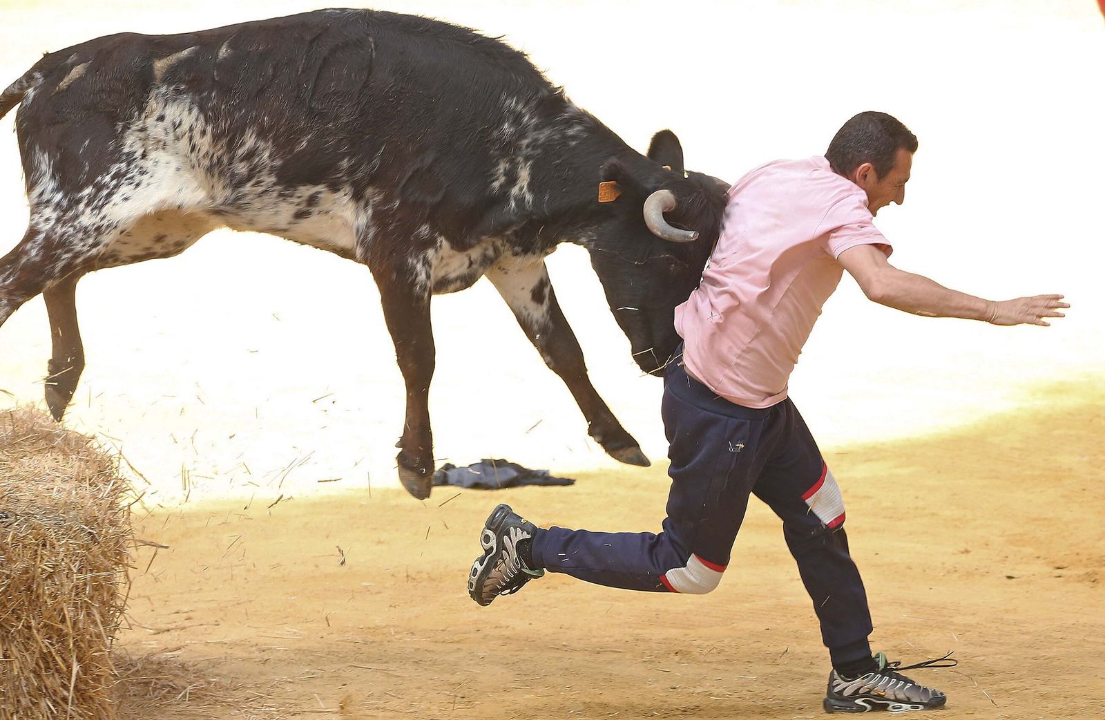 Fotos del Toro Embolao en Los Barrios