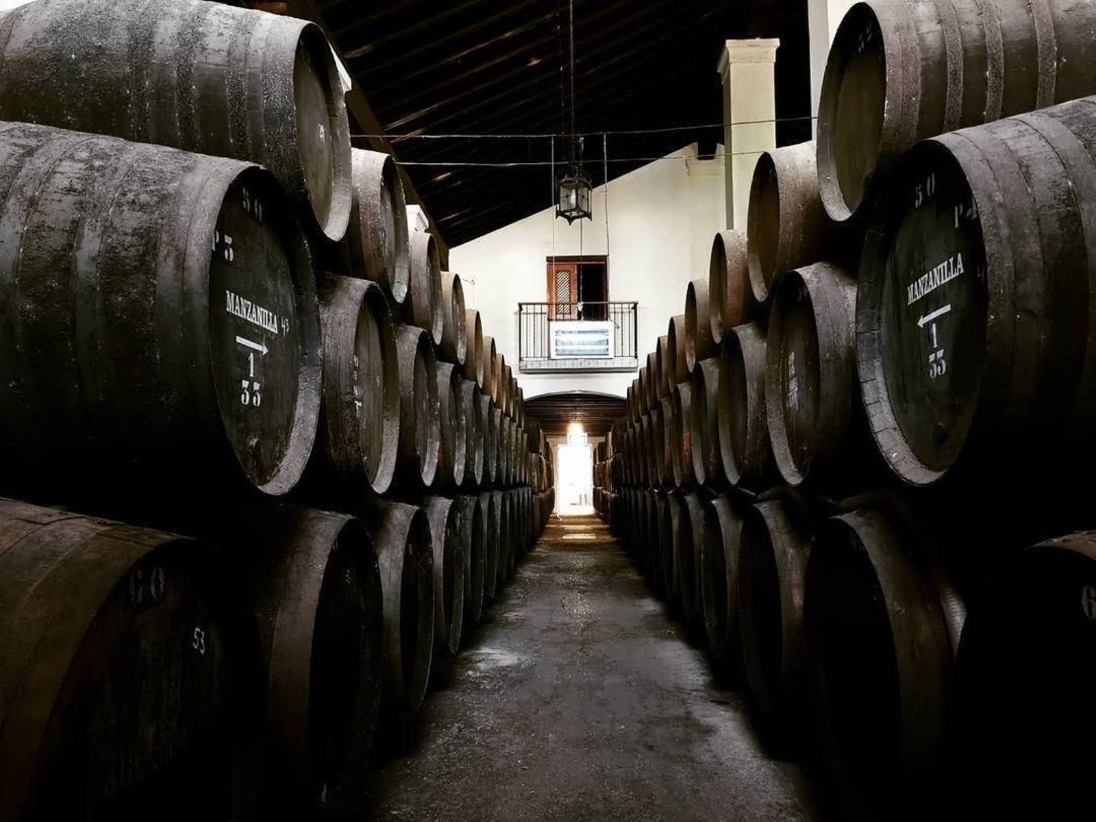 Andana de botas en una de sus bodegas.