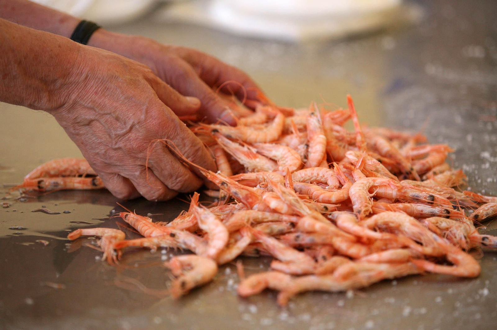 La gamba de Huelva llegará a costar hasta 67 euros esta Navidad