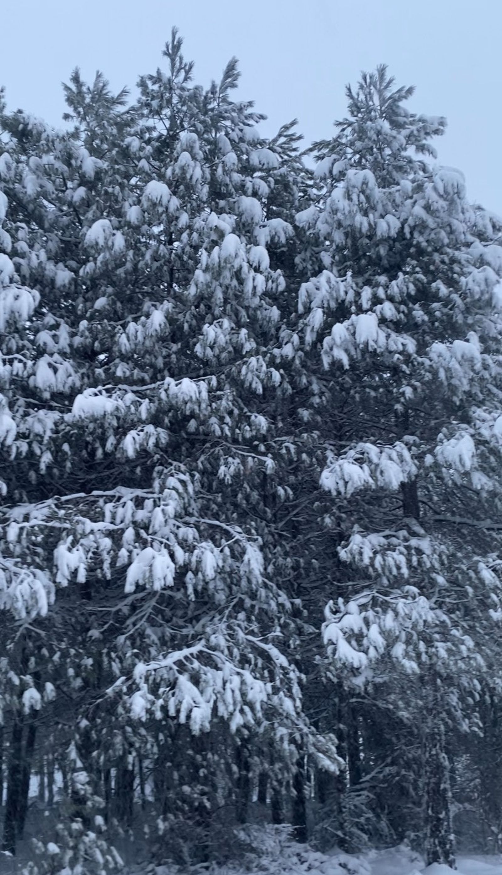 619754817_4235771626665325_1767131892866245815_n