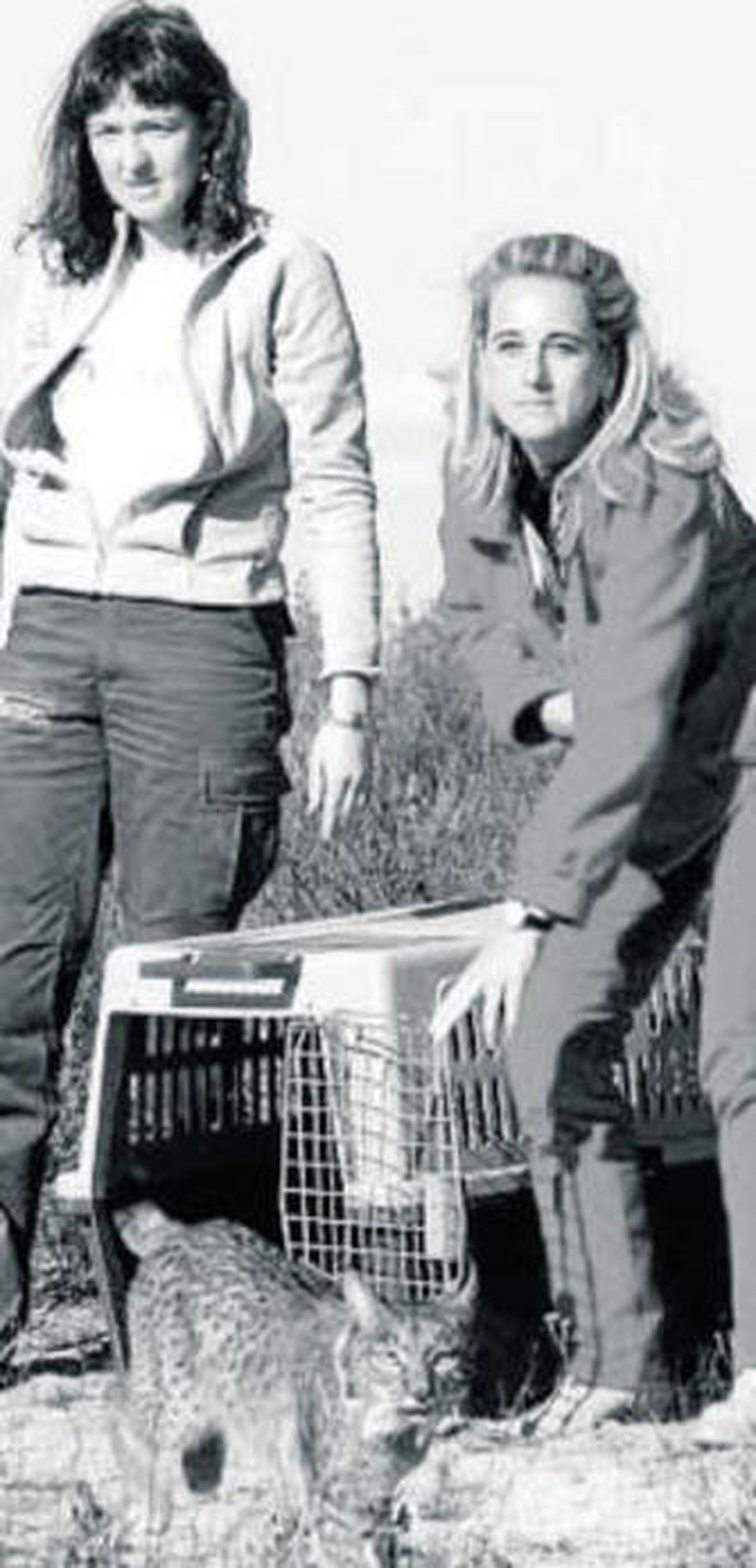 Cinta Castillo cuando liberó en Doñana a Caribú.