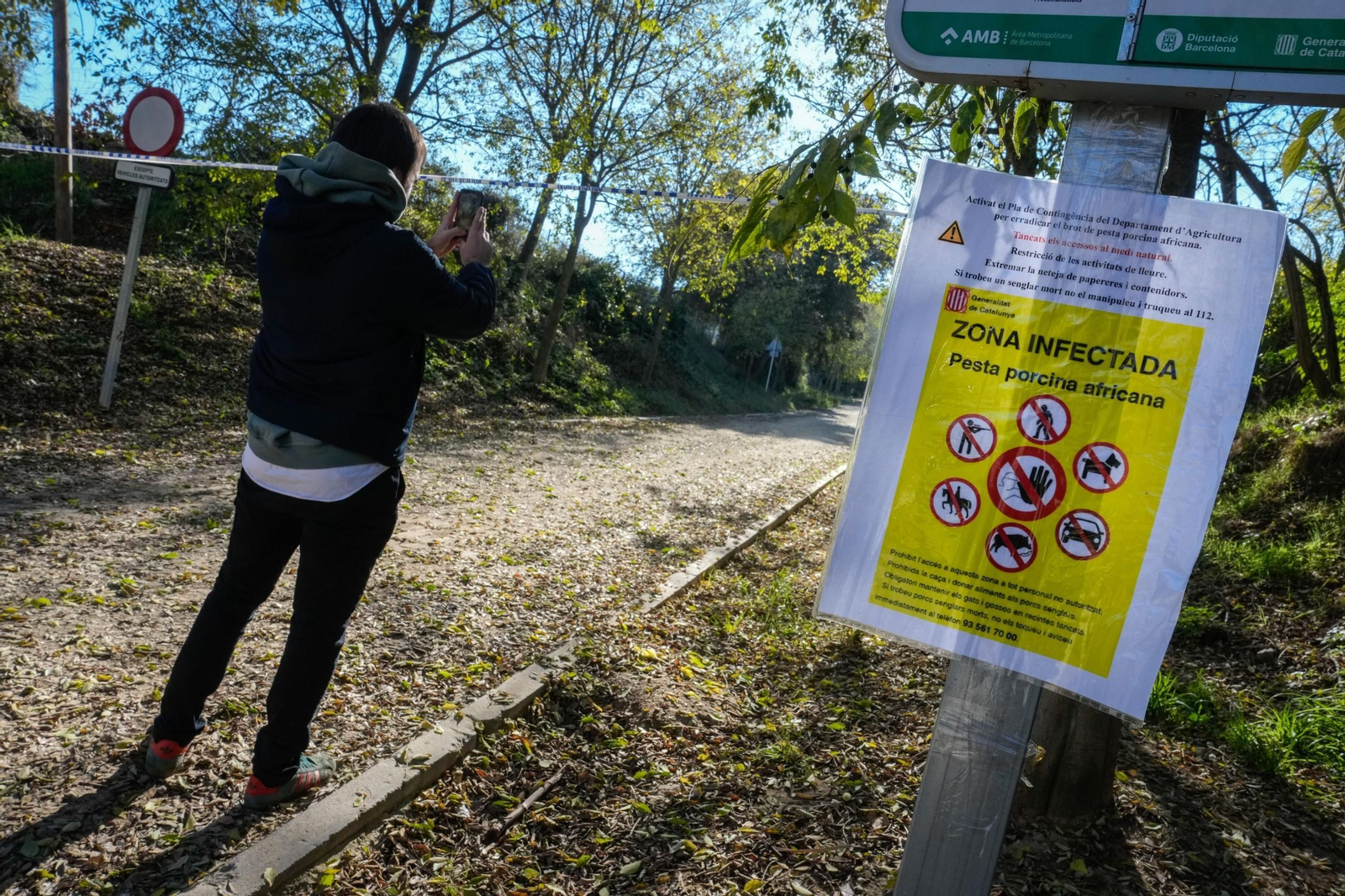 Avisos en zonas de Cataluña donde se detectaron casos de peste porcina en jabalíes