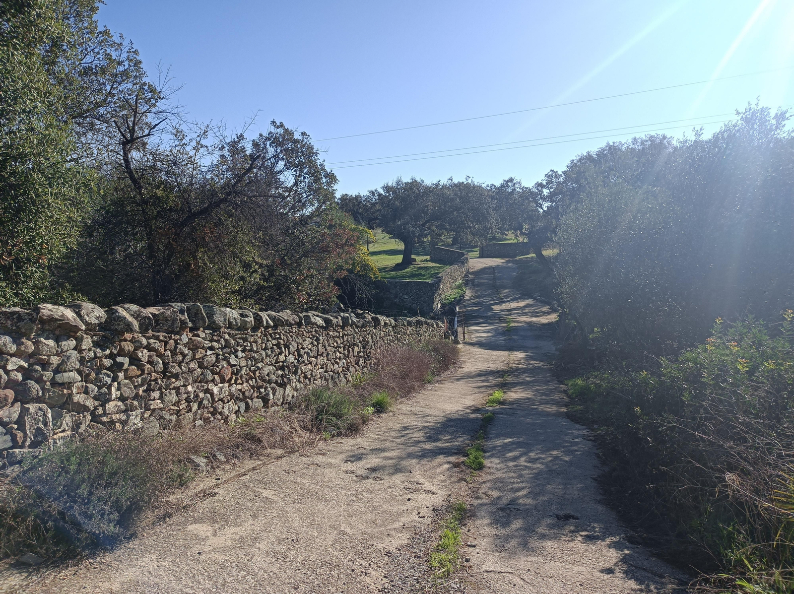 Ruta de Las Cañadillas