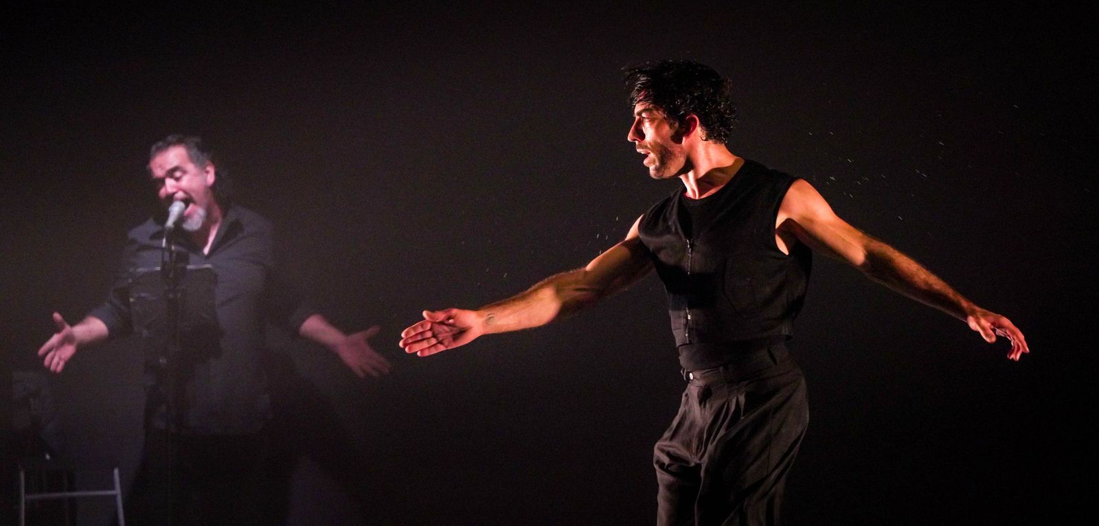 Imágenes de la Compañía David Coria 'Babel' 30 Festival de Jerez