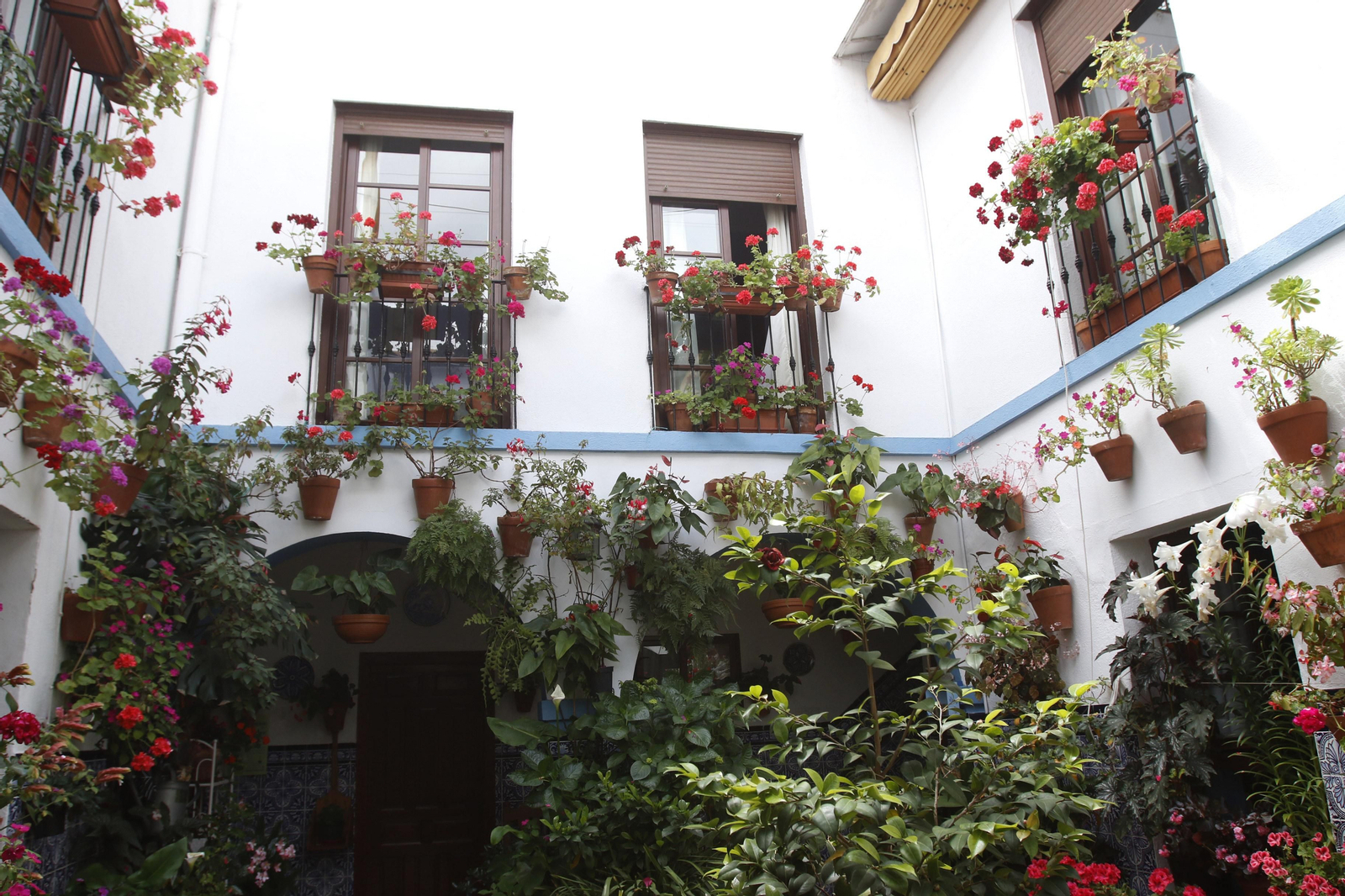 Los Patios de Córdoba en tiempos de crisis: Pedro Fernández, 6