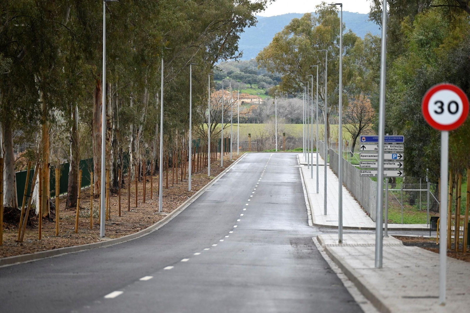 La fase 1A de reurbanización del Campus de Rabanales, en imágenes