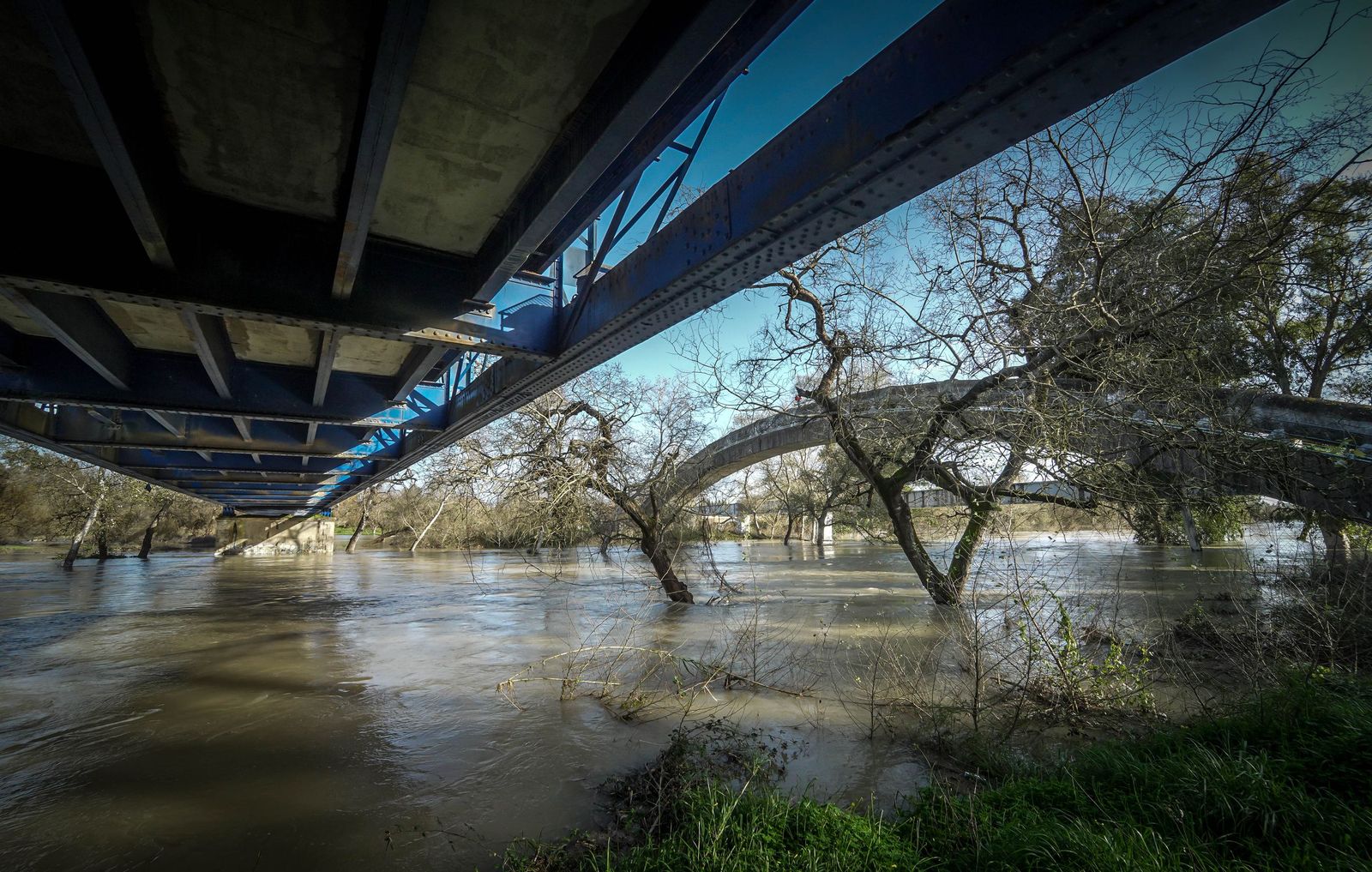 Un día tranquilo en el rio Guadalete, en imágenes