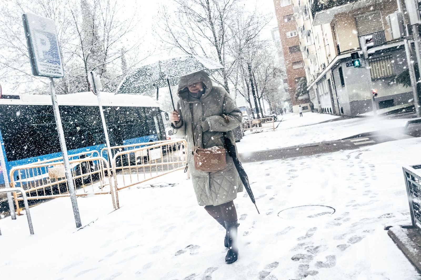 Imágenes de la nevada que ha dejado la borrasca Kristin en Madrid capital