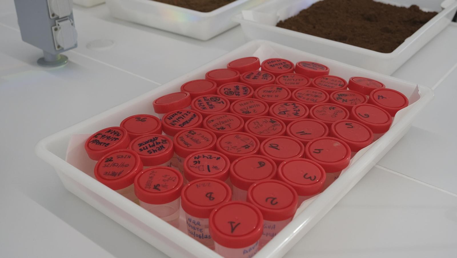 Jornada de puertas abiertas en la Estación Experimental Cajamar Las Palmerillas, en fotos