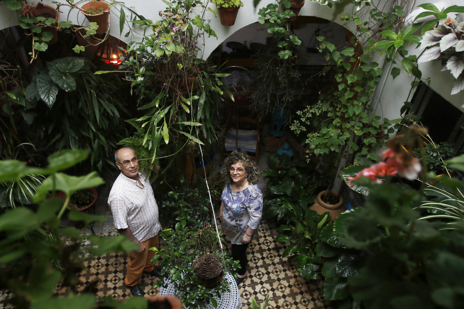 Los Patios de Córdoba en tiempos de crisis: Alfonso XII, 29