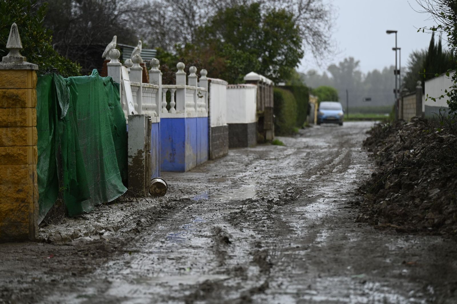 Parcelas de Guadalvalle siguen anegadas por el barro un mes después de las inundaciones