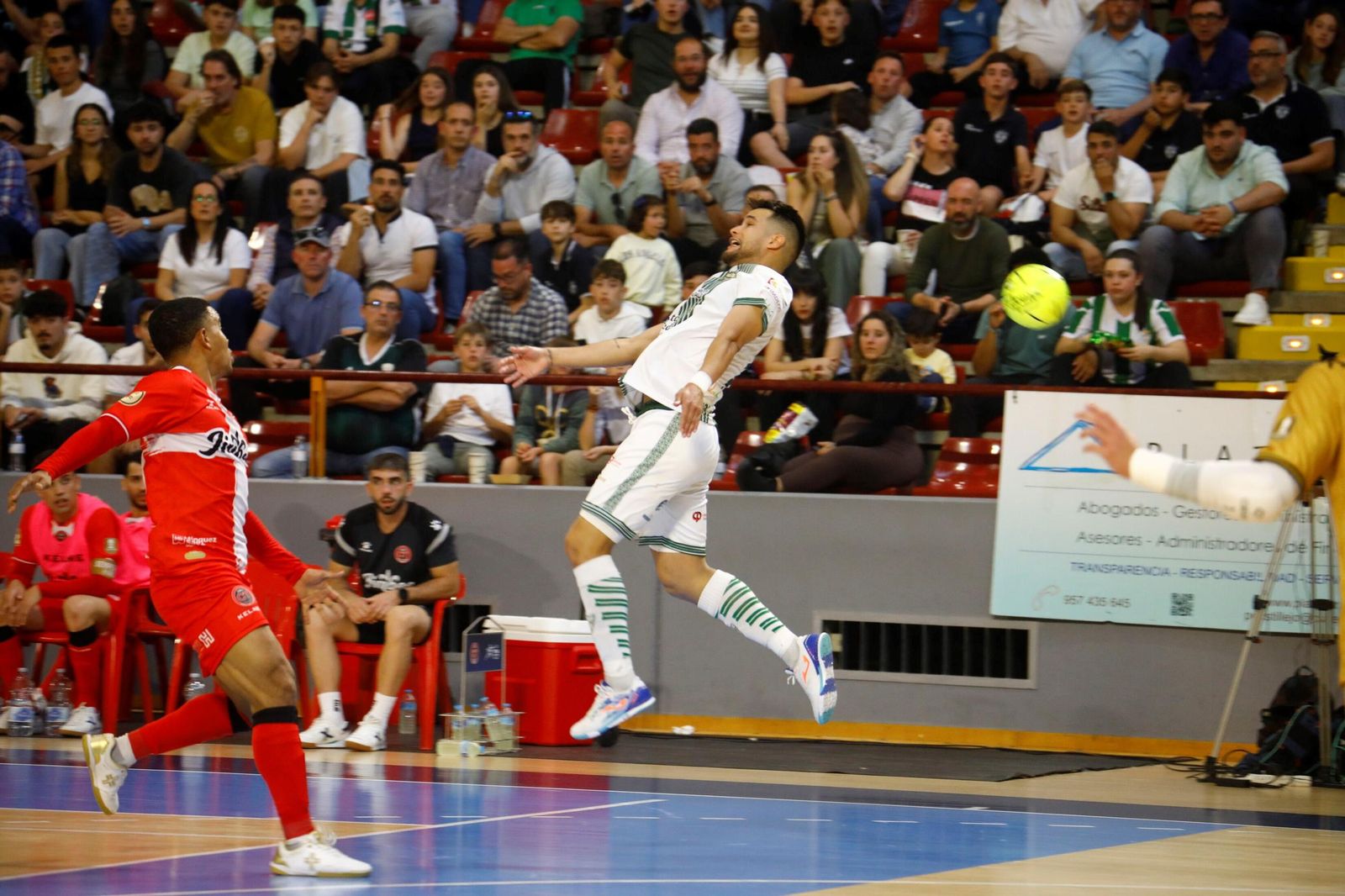 Las mejores fotos del ambiente en Vista Alegre para el Córdoba Futsal - Jimbee Cartagena