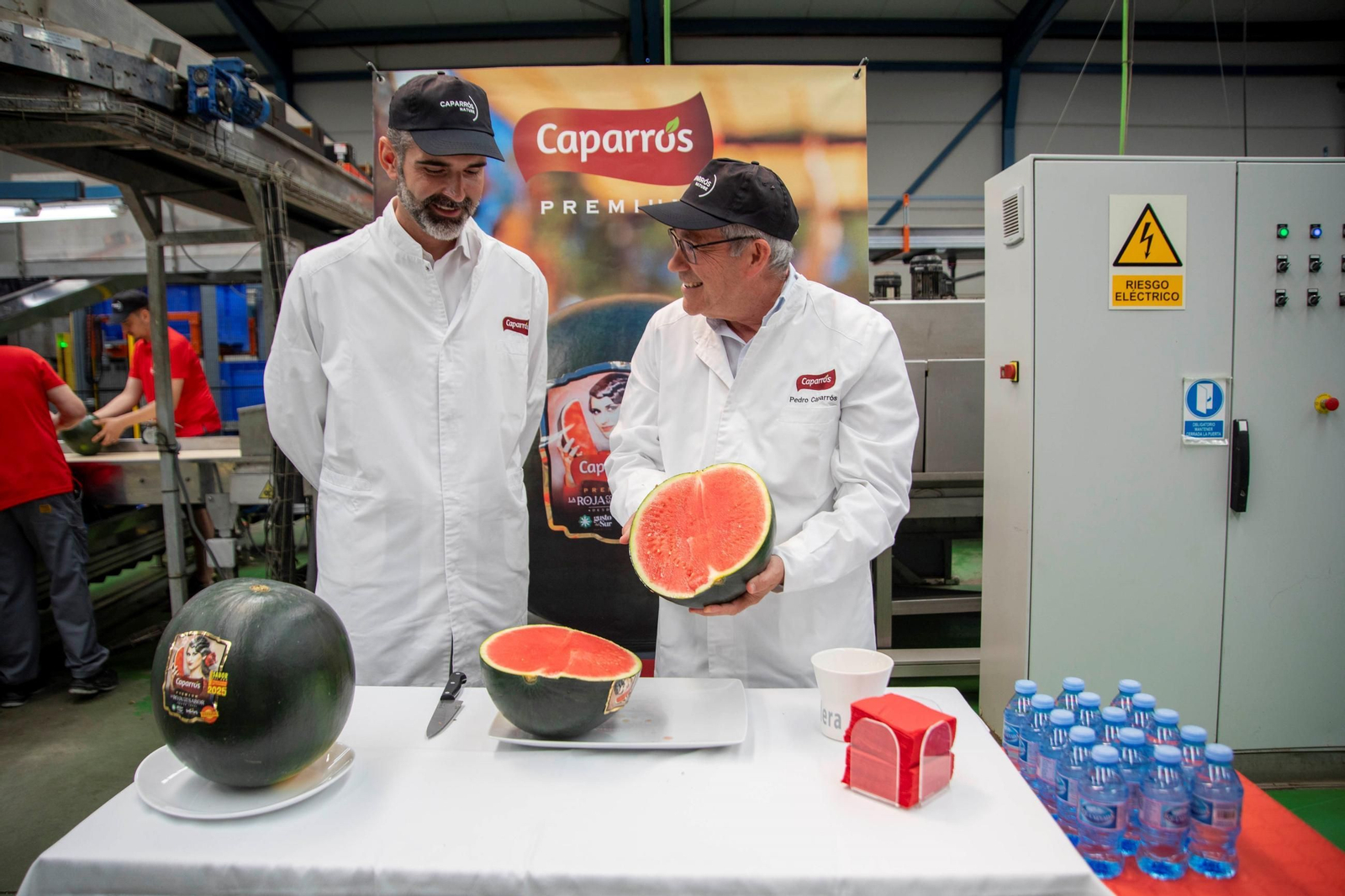 Vea cómo es el trabajo con las fantásticas sandías Premium en Grupo Caparrós