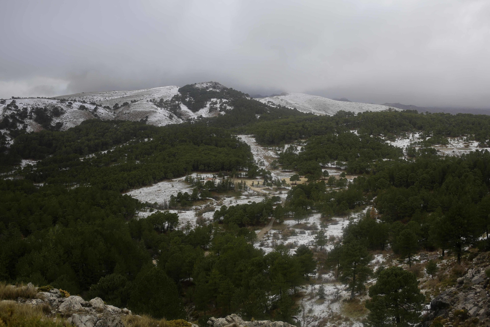 Manto blanco sobre la Sierra de las Nieves