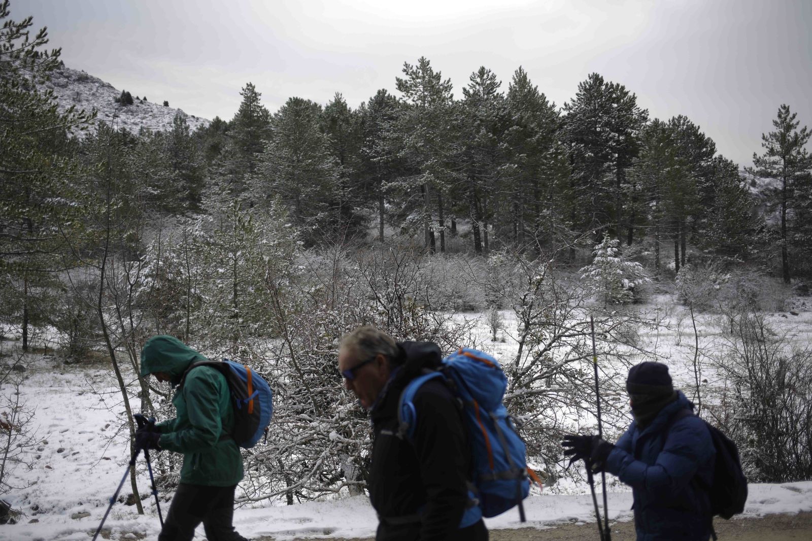 La excursiones a los parajes nevados de Málaga, en imágenes