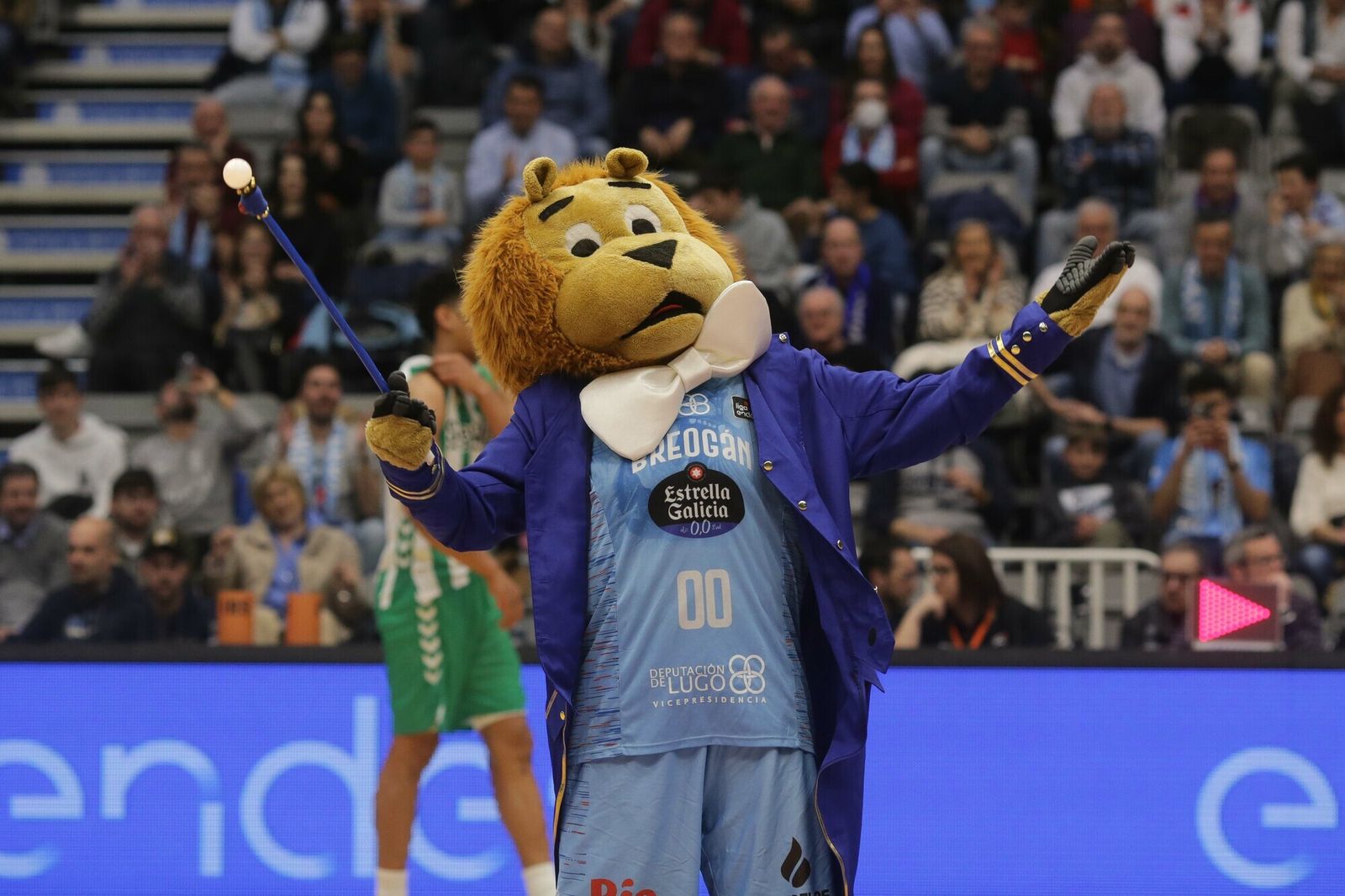 Las fotos del triunfo del Betis Baloncesto sobre el Breogán