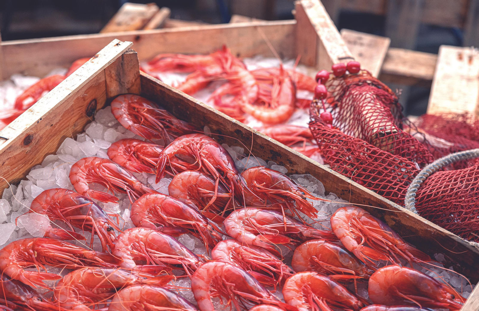 Del barco a la mesa.com, nombre y virtud