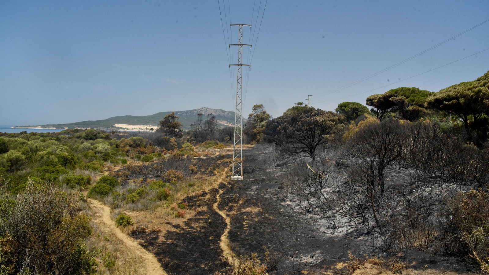 Fotos del incendio de Valdevaqueros que arrasó con 11 hectáreas de Parque Natural del Estrecho Las fotos de la zona afectada por el incendio de Valdevaqueros
