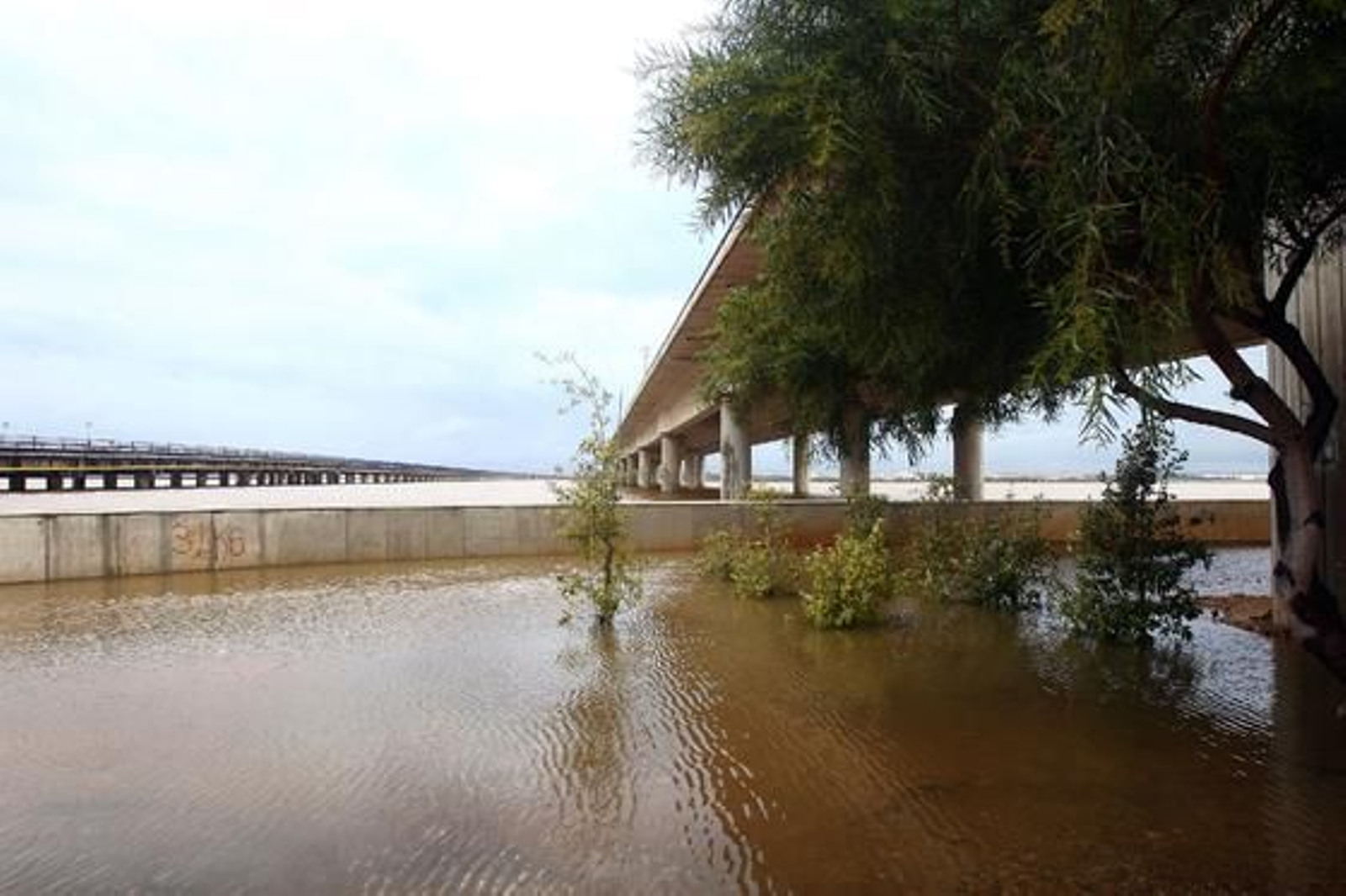La crecida de los ríos provoca numerosas inundaciones en Huelva. / Reportaje fotográfico de Correa y Espinosa.