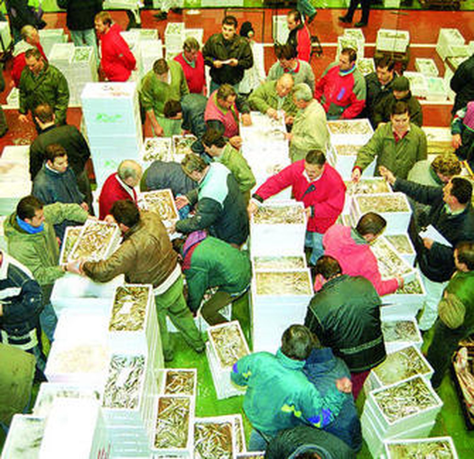 Lonja de pescado en el Mercacórdoba.
