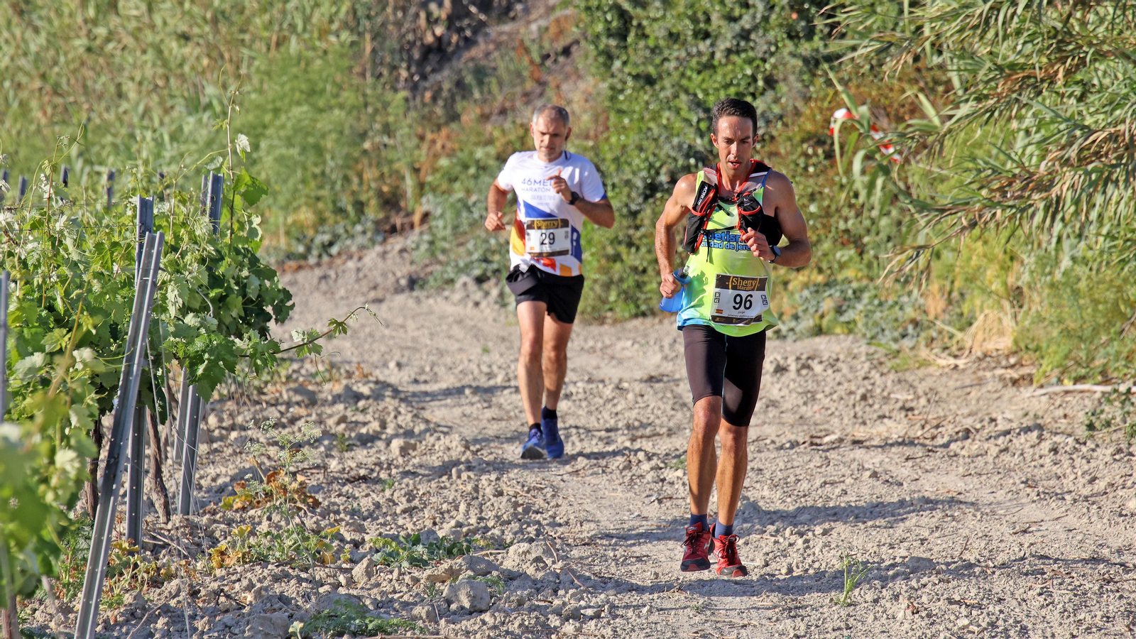 VI Sherry Maratón Jerez