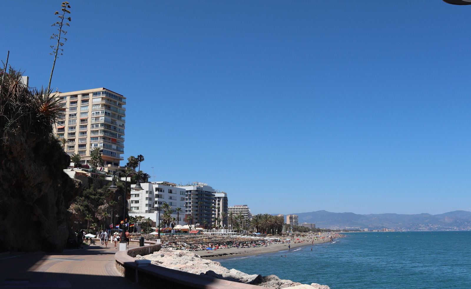 Los nuevos inquilinos en la punta de los gatos de Torremolinos