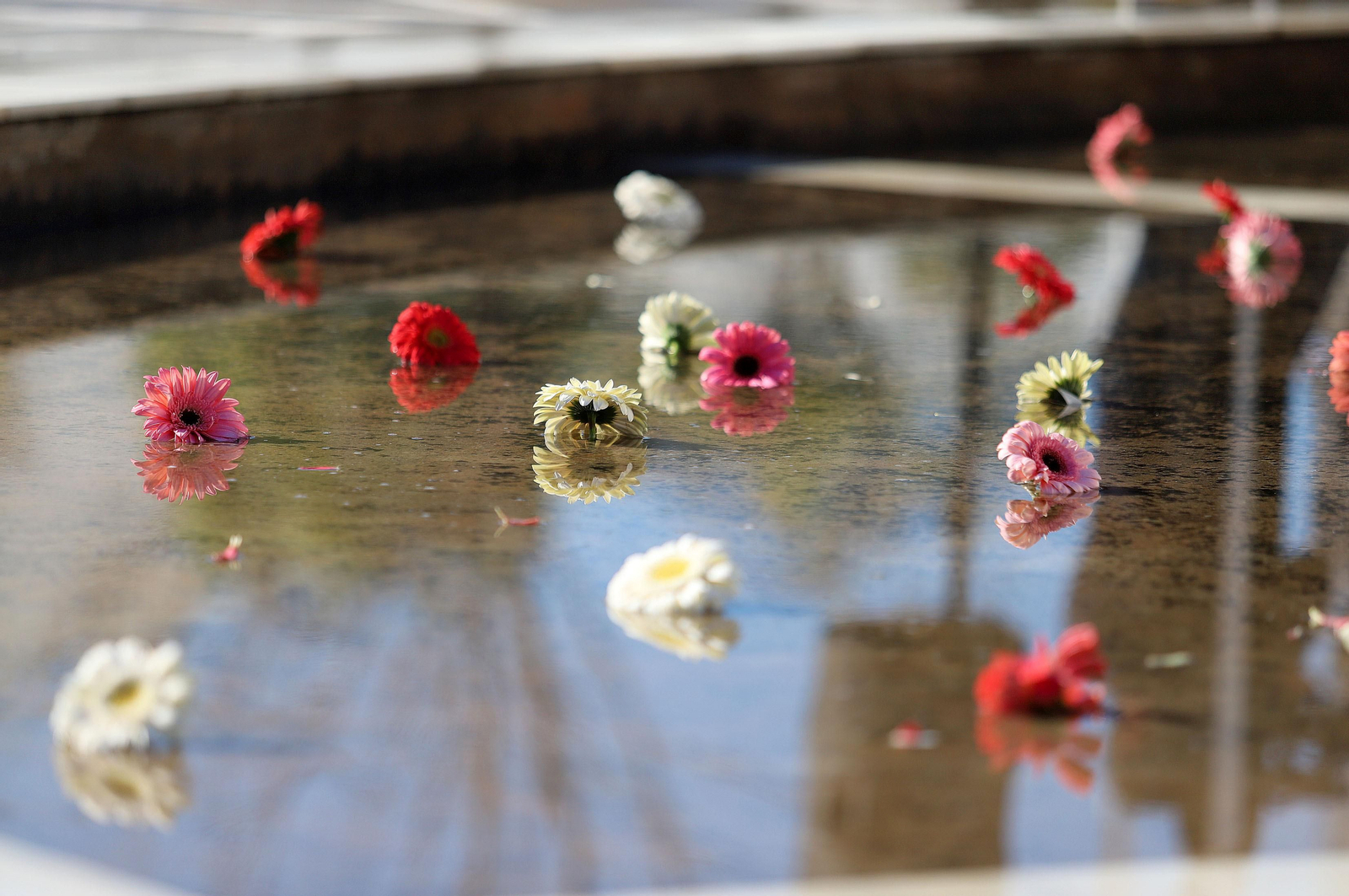 Imágenes del minuto de silencio guardado en la Universidad de Huelva en memoria de los estudiantes fallecidos en el incendio