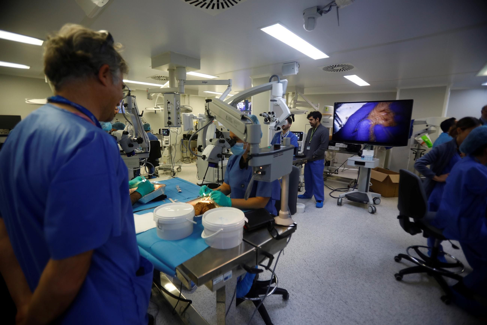 El curso en el que neurocirujanos del Hospital Reina Sofía estudian el cerebro, en imágenes