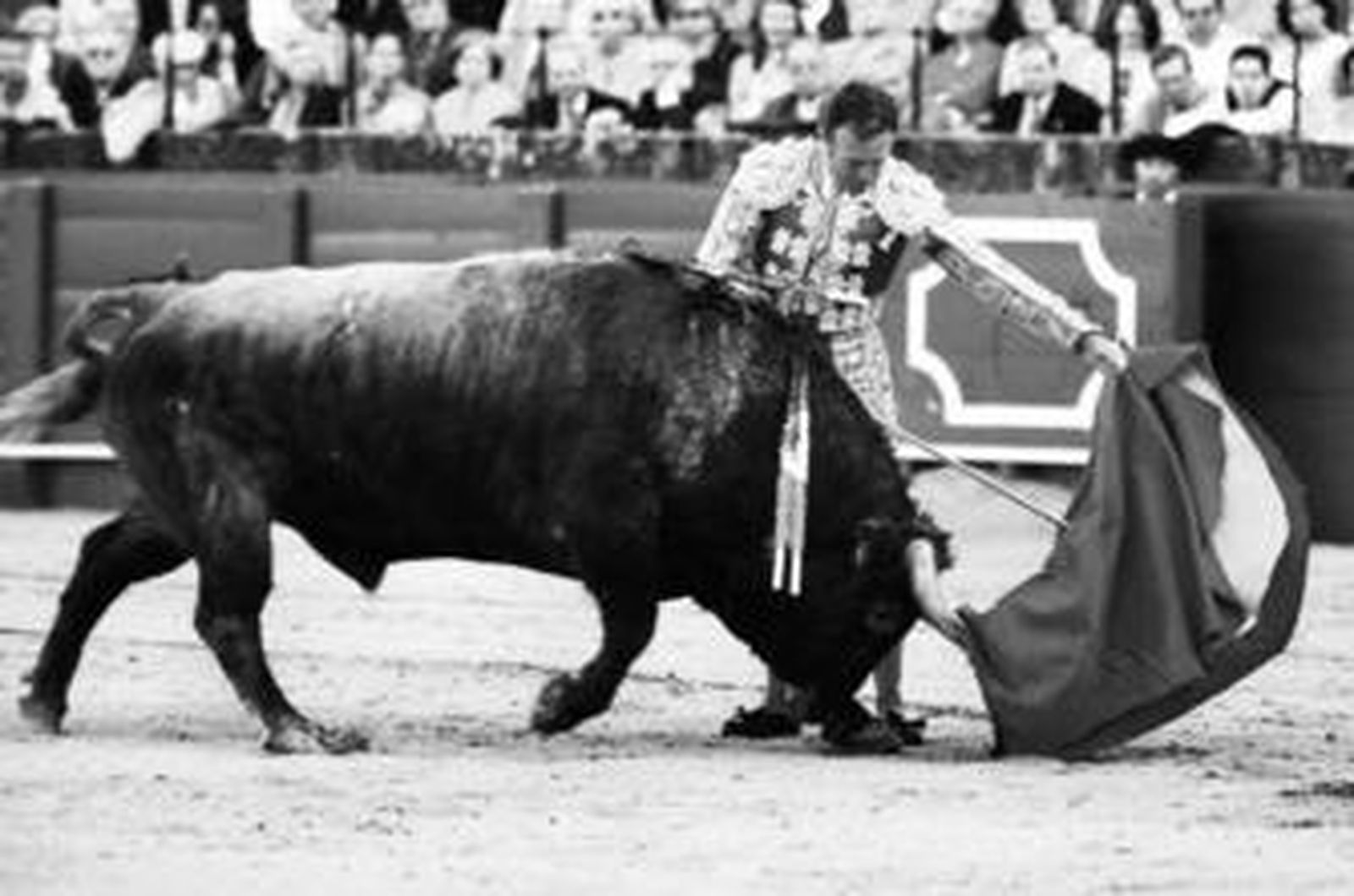 Pepe Luis Vázquez, en un ayudado en la Maestranza, cuajó una buena faena en Constantina.