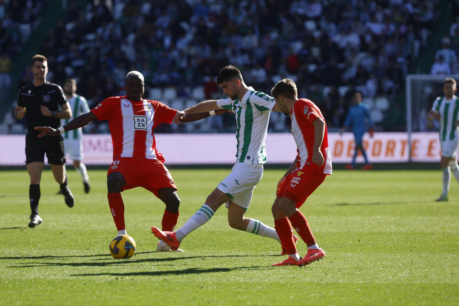 Las mejores fotos del ambiente en el Córdoba CF - Almería en El Arcángel