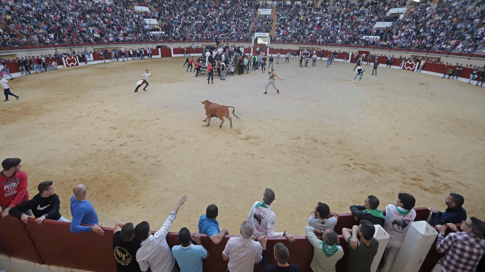 Toro de la Víspera en Los Barrios