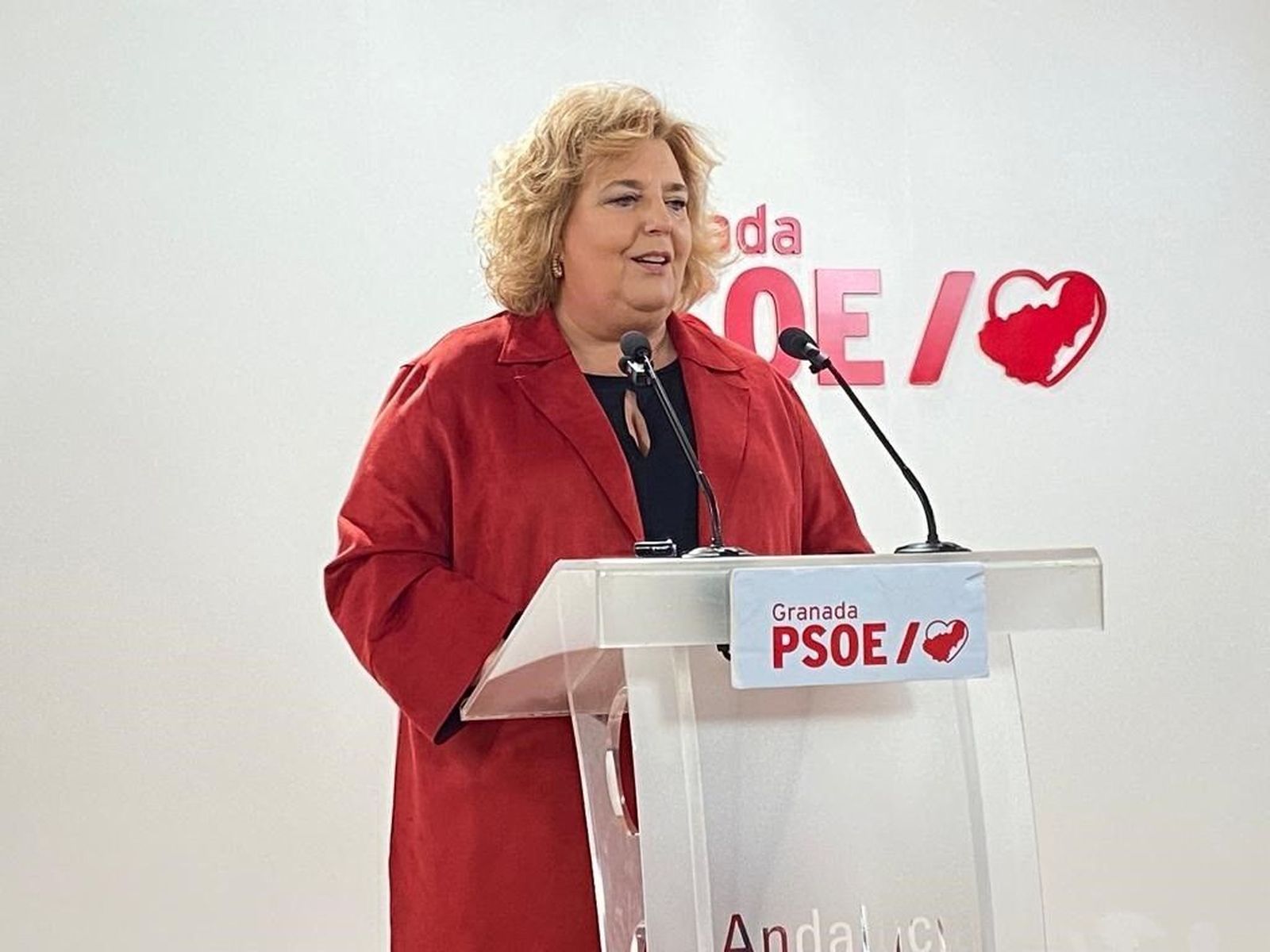 La portavoz del grupo socialista en la Diputación de Granada, Fátima Gómez