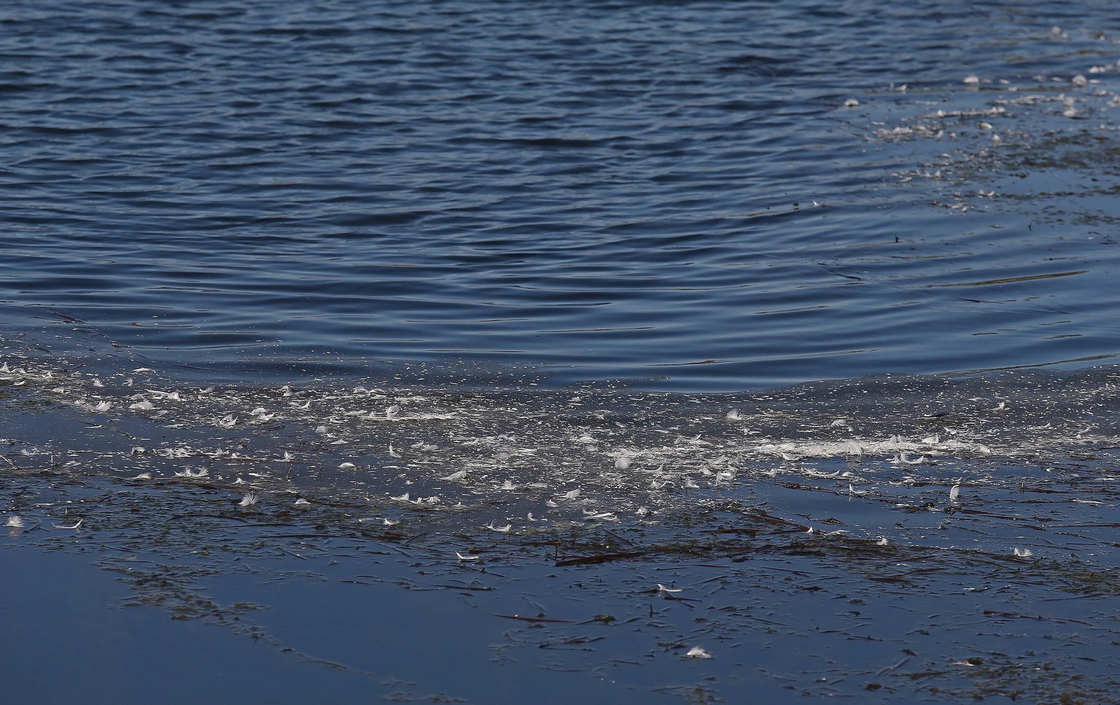 Imágenes del acuífero de la Huerta de Las Pilas en Algeciras