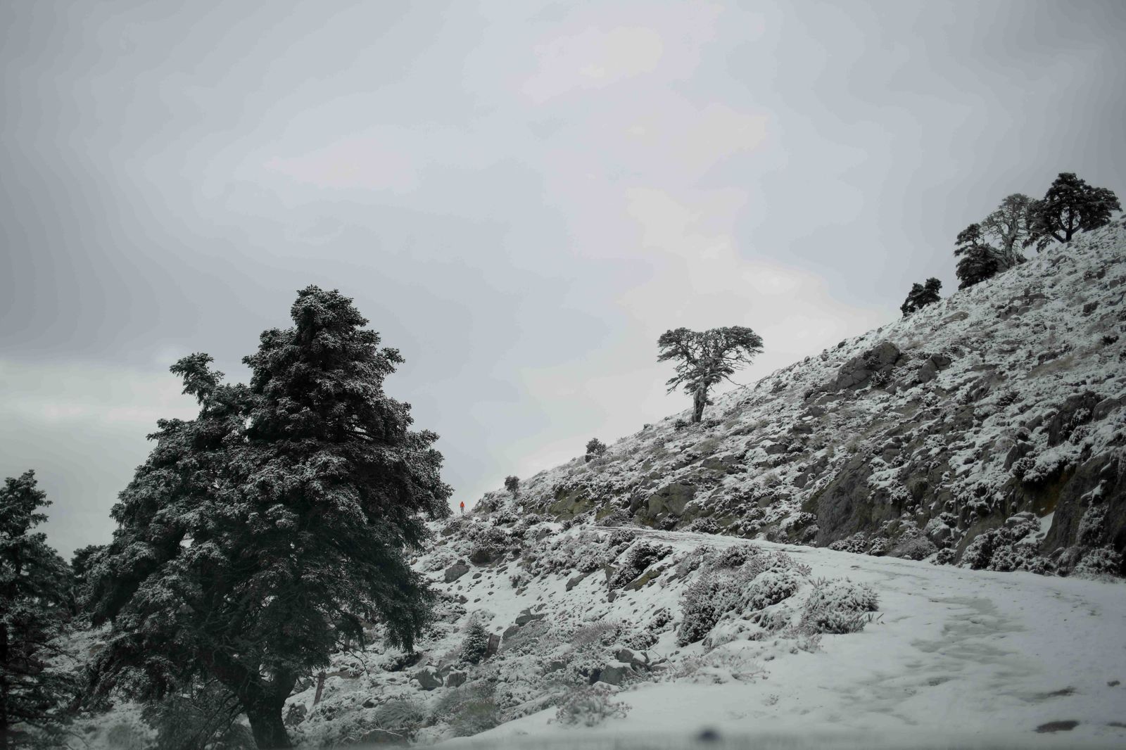 La excursiones a los parajes nevados de Málaga, en imágenes