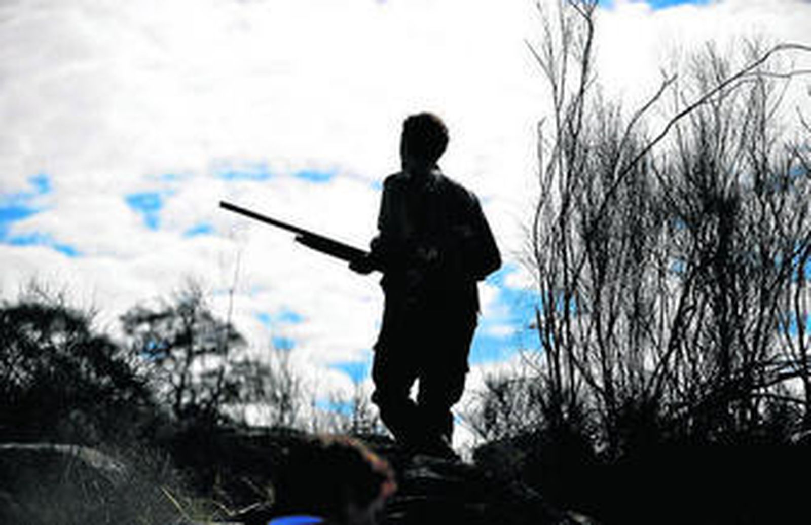 Arranca la temporada de caza menor para la perdiz, la liebre y la codorniz