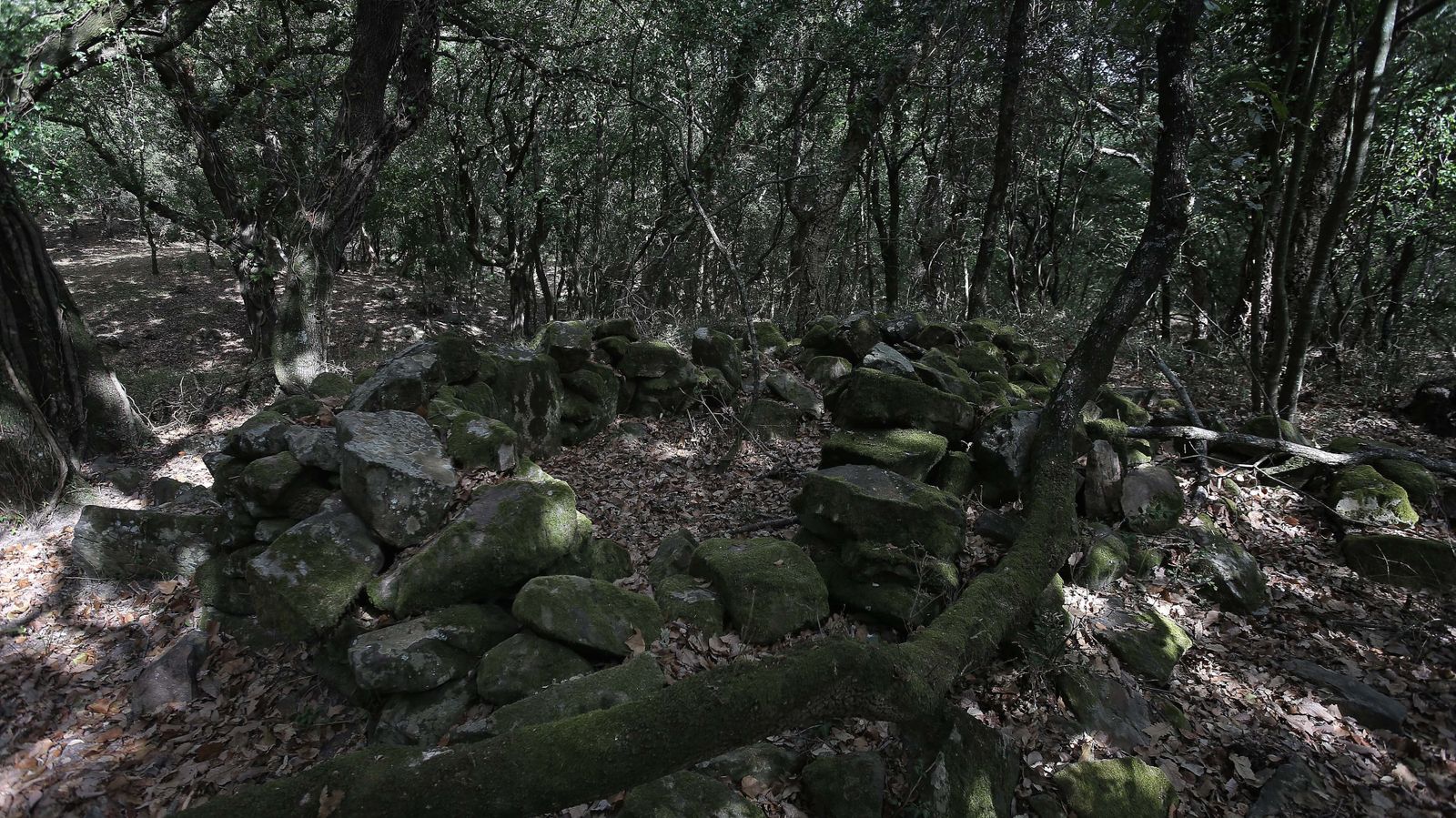 Las mejores fotos de San Carlos del Tiradero