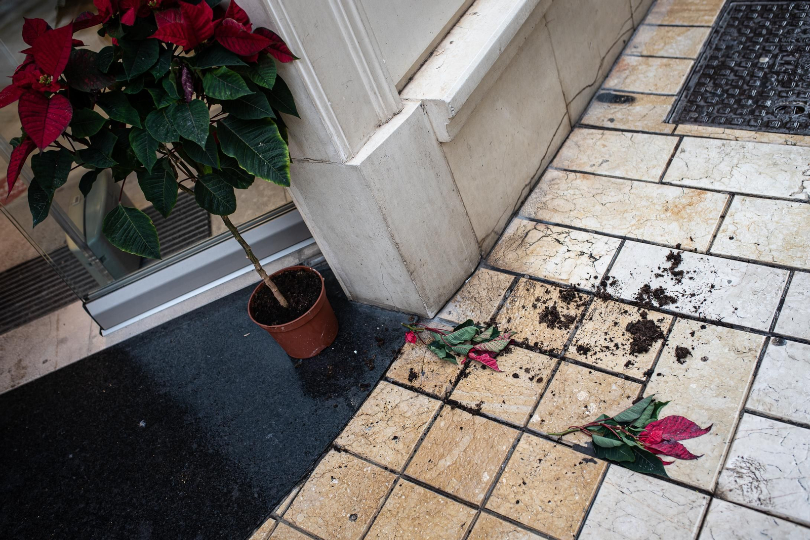 Las imágenes más destacadas del lunes 28 de diciembre en Huelva