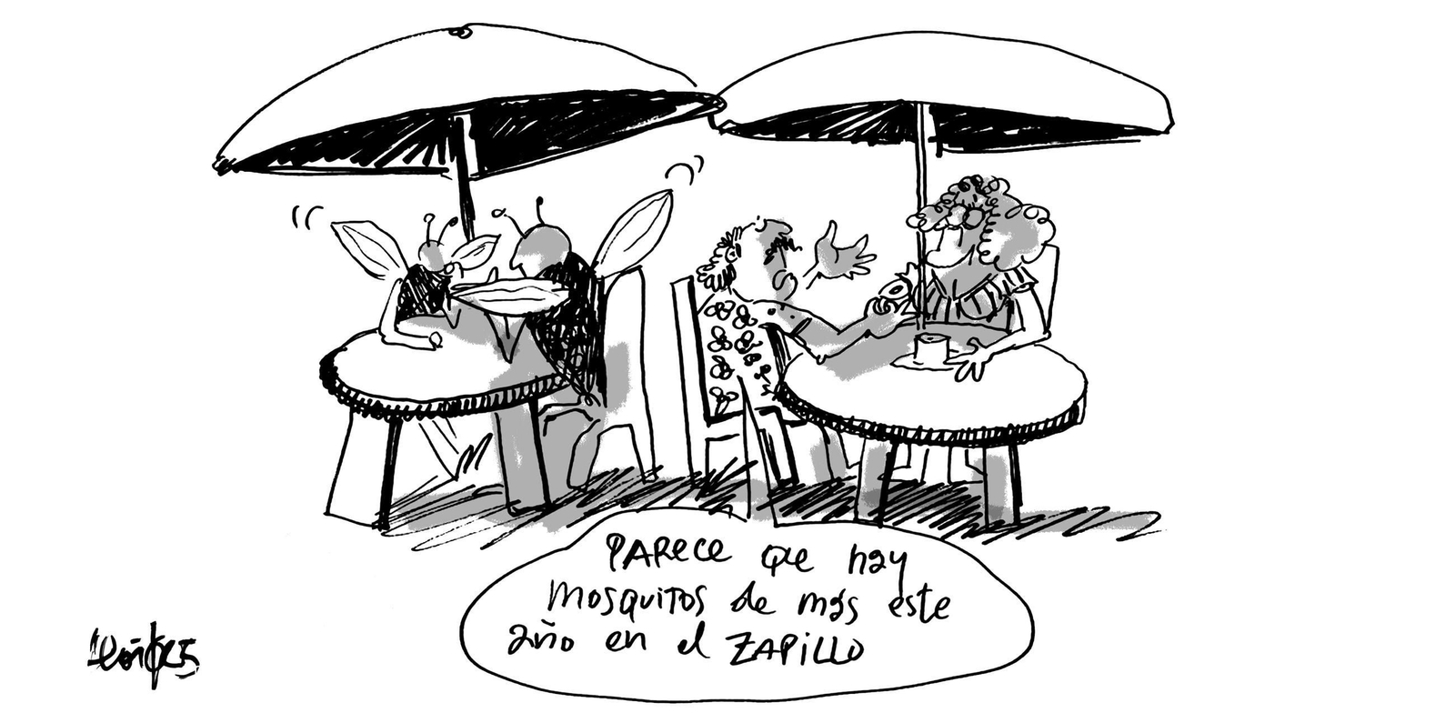 23.07.25. mosquitos