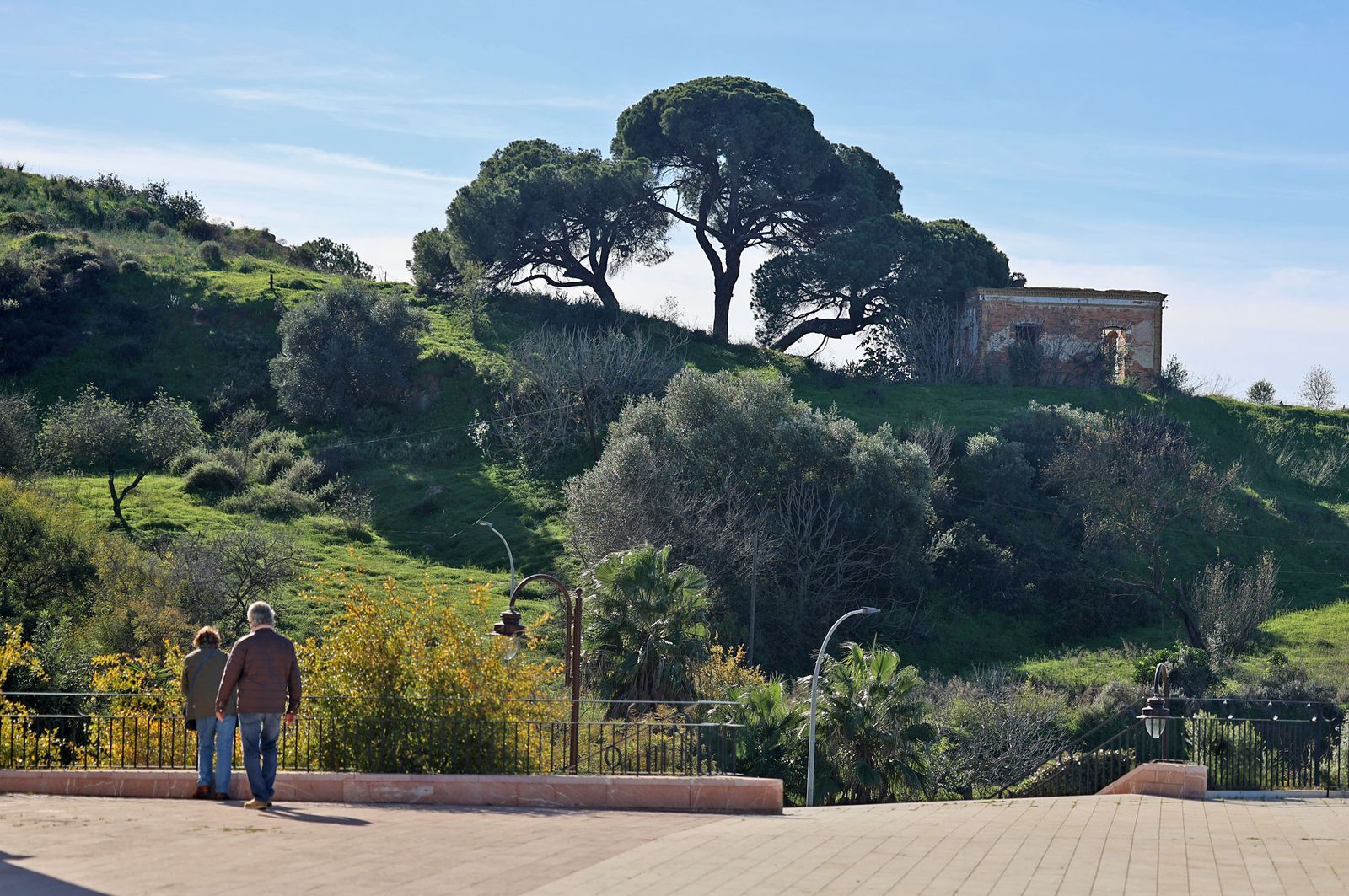 Imágenes del domingo 8 de diciembre en Huelva