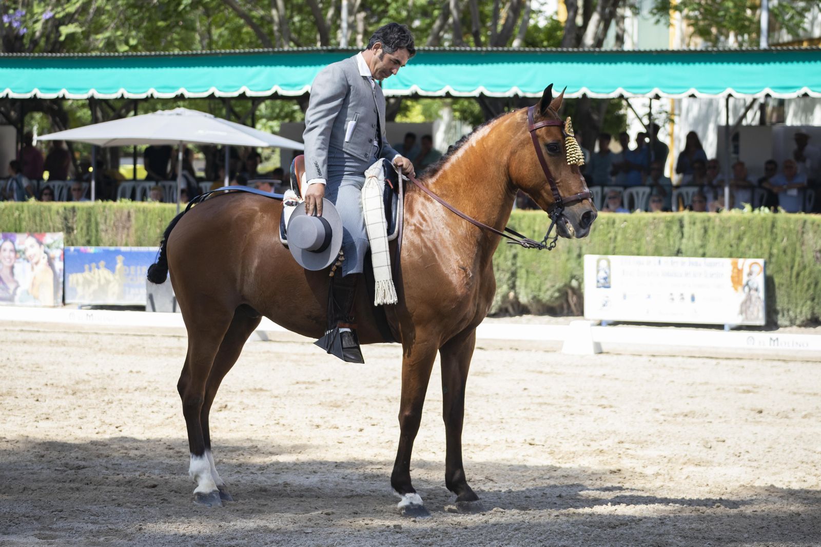 Final del concurso de Doma Vaquera 2023 en el Depósito de Sementales