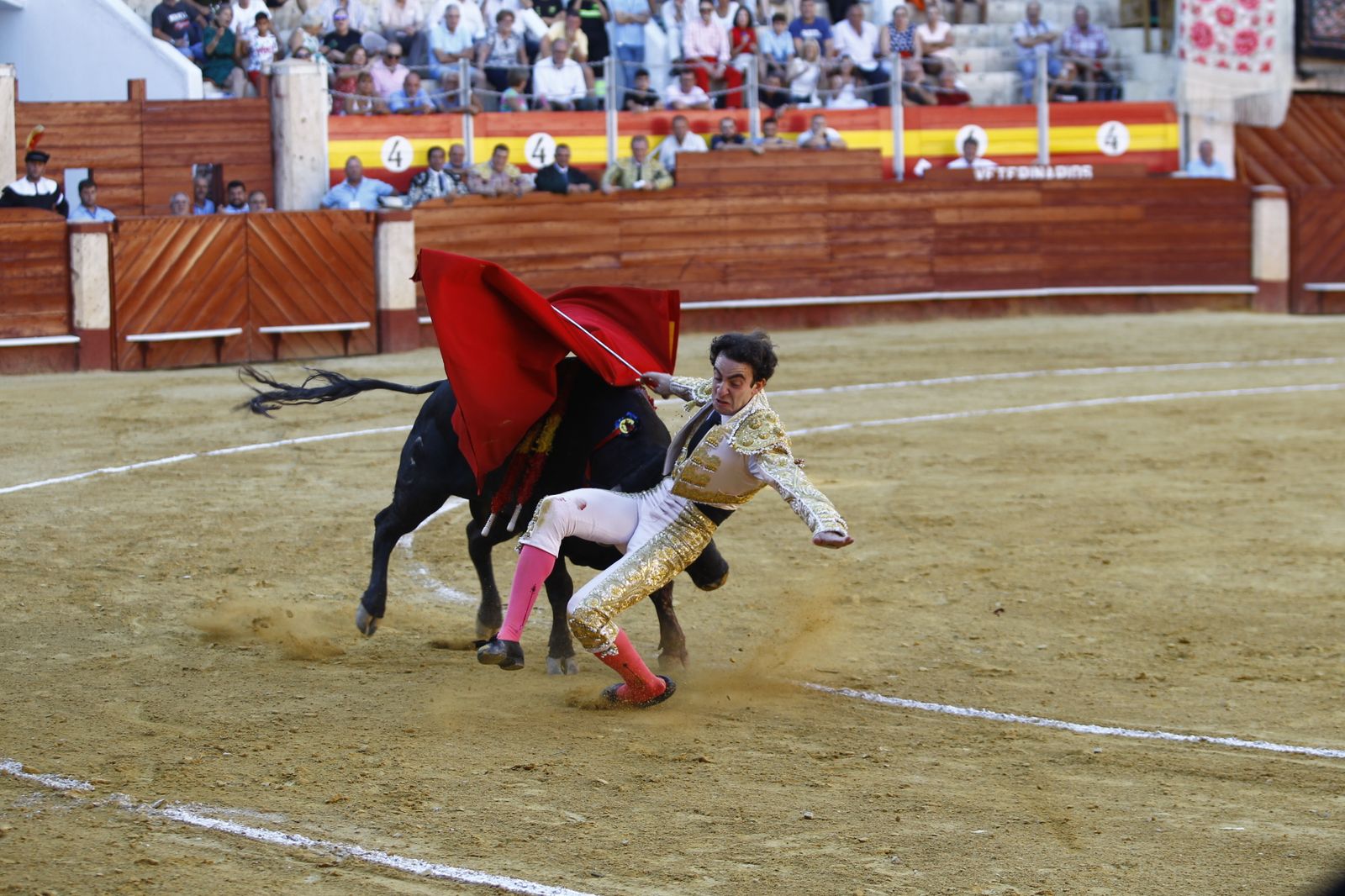 Fotogalería de la novillada de la Feria Taurina de Almería 2022