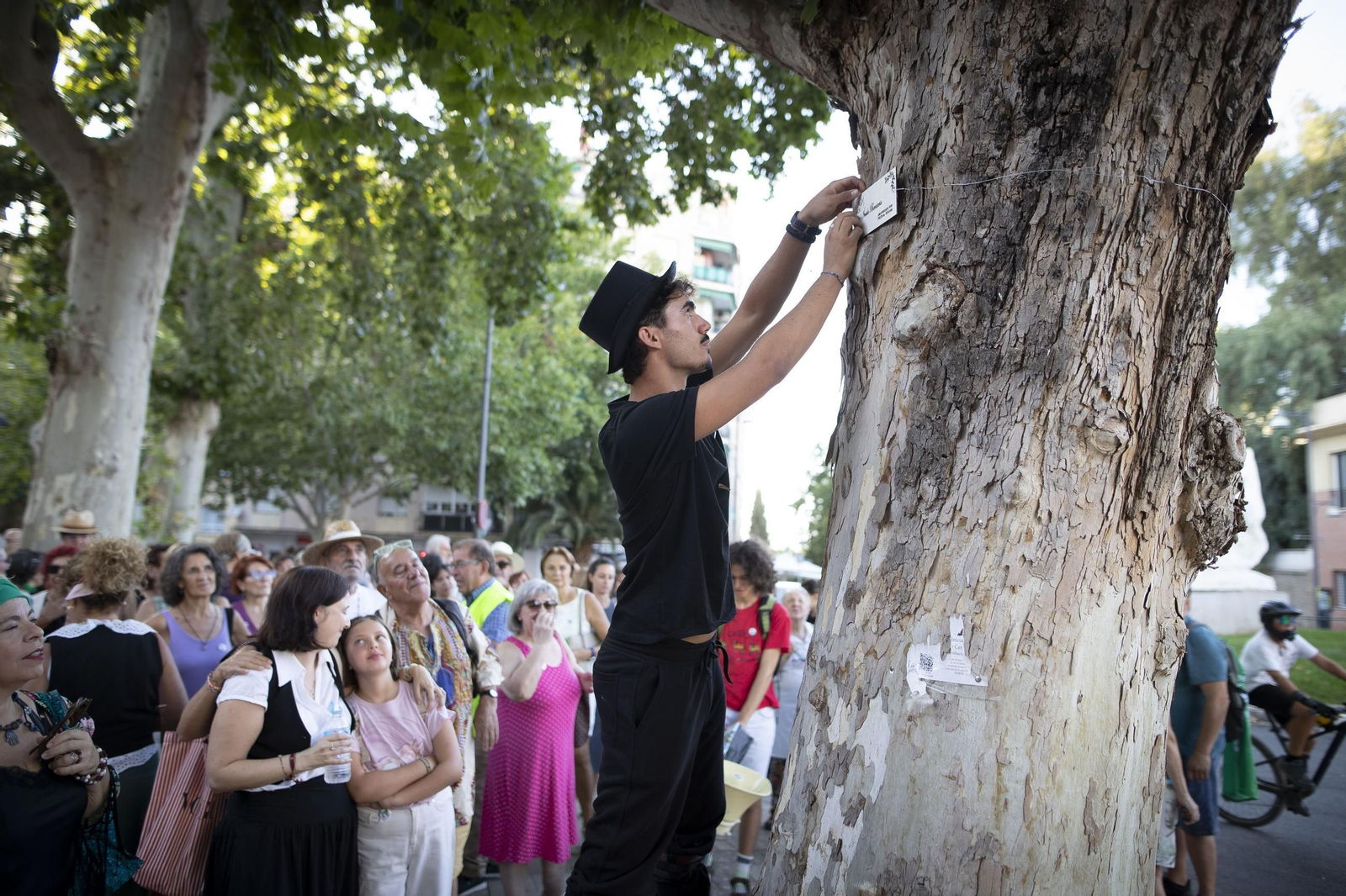Vecinos de la Avenida de Cervantes de Granada amadrinan sus árboles para evitar la tala