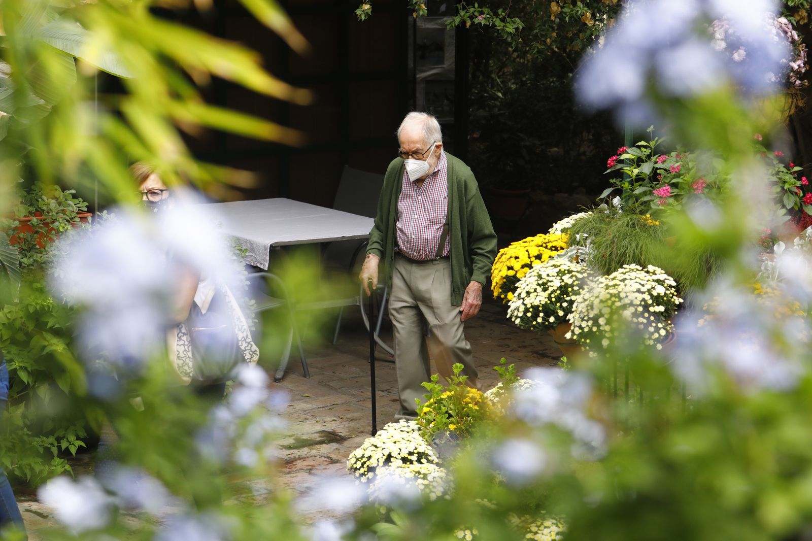 Un recorrido en fotografías por los Patios de Córdoba un domingo de otoño