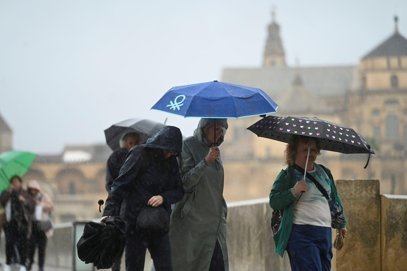 El paso de la borrasca Claudia por Córdoba en imágenes