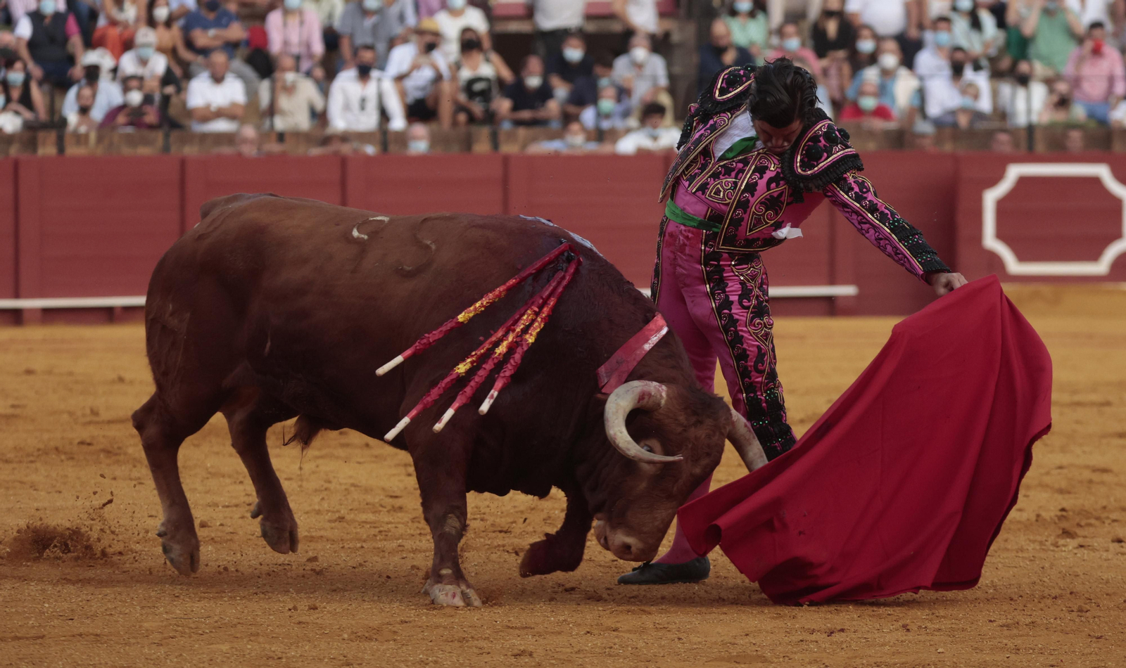 Las imágenes del triunfo de Morante en San Miguel