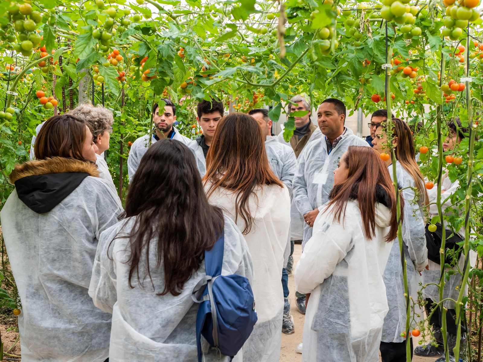 VIsita a un invernadero.