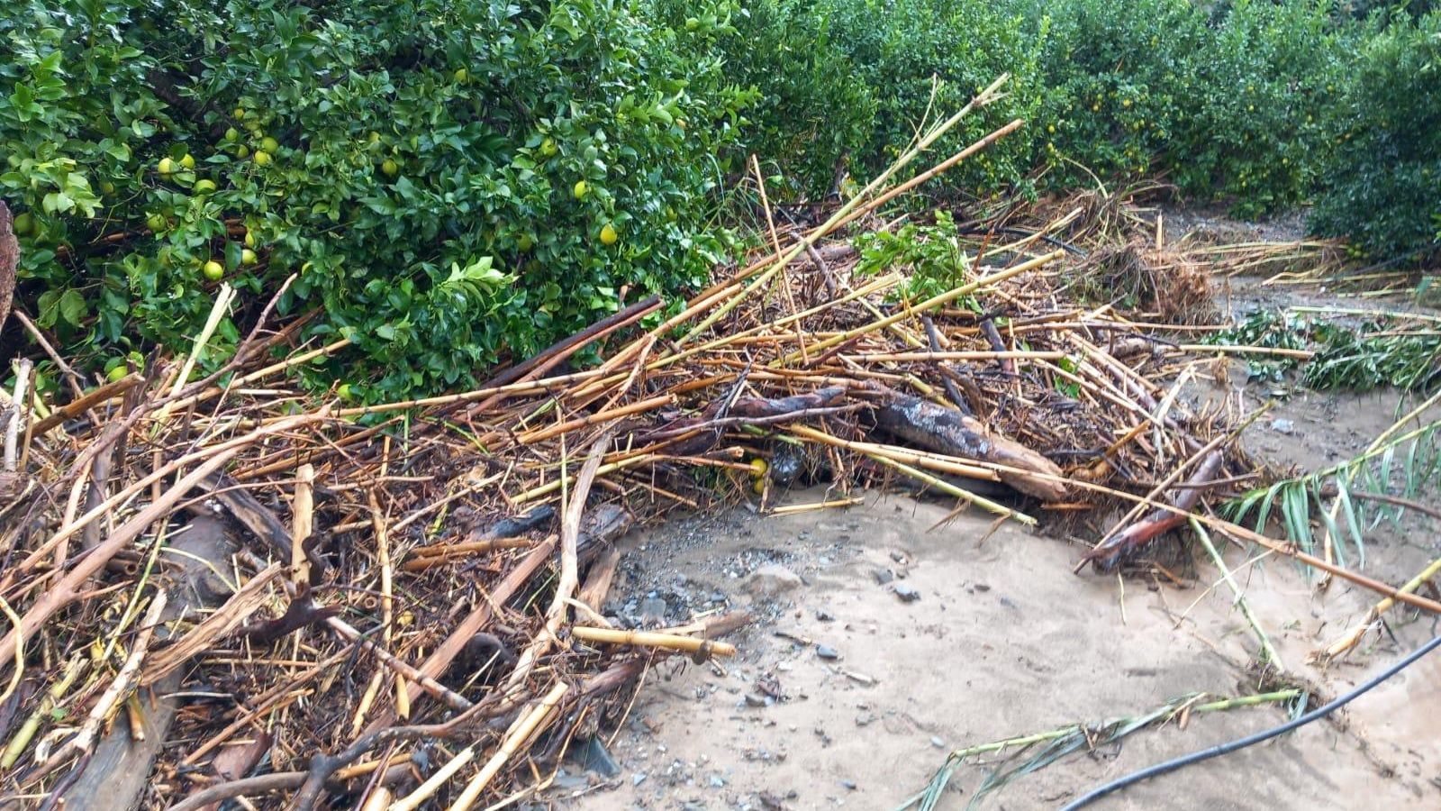 Terreno destrozado en Comares por la DANA