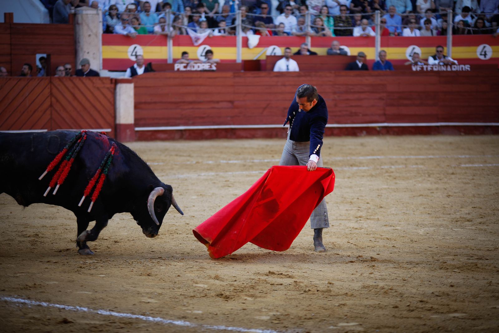 Imágenes del festival mixto lucha contra el cáncer
